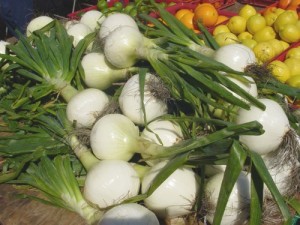 fresh sweet onions
