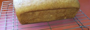 Bread Baked from Scratch