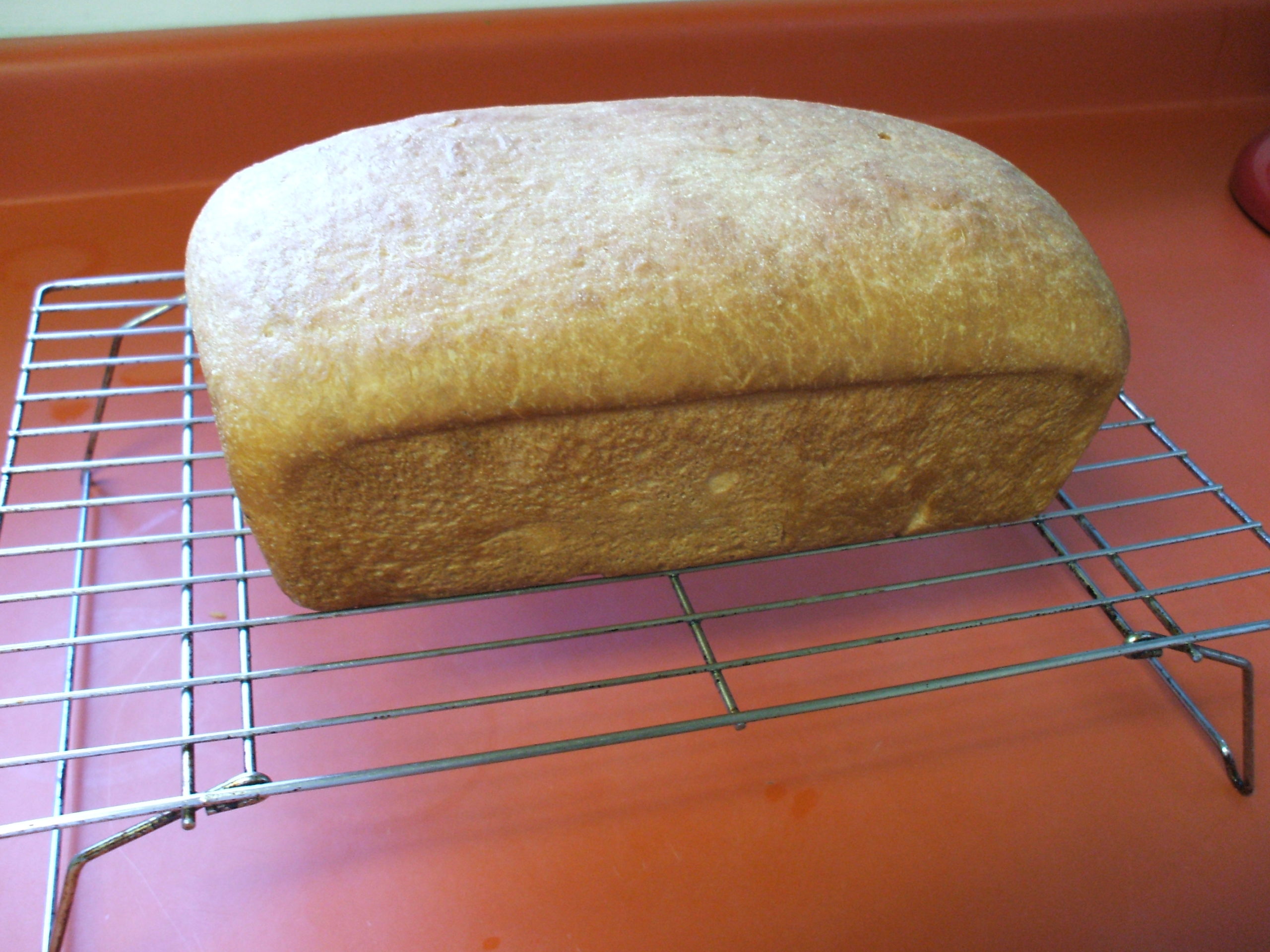 Bread Baked from Scratch