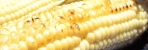 Grilled Corn on the Cob