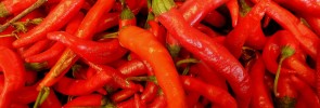 A bunch of fresh red cayenne peppers