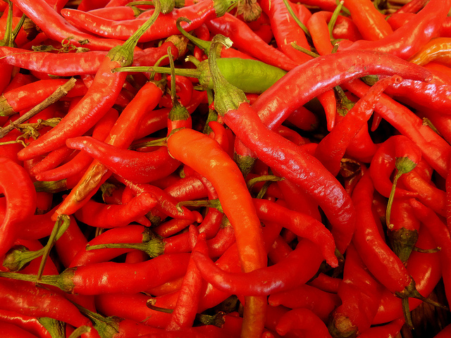 A bunch of fresh red cayenne peppers