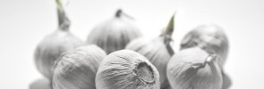 I seem to remember this picture of garlic from somewhere..