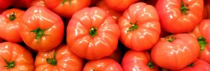 Tomatoes!